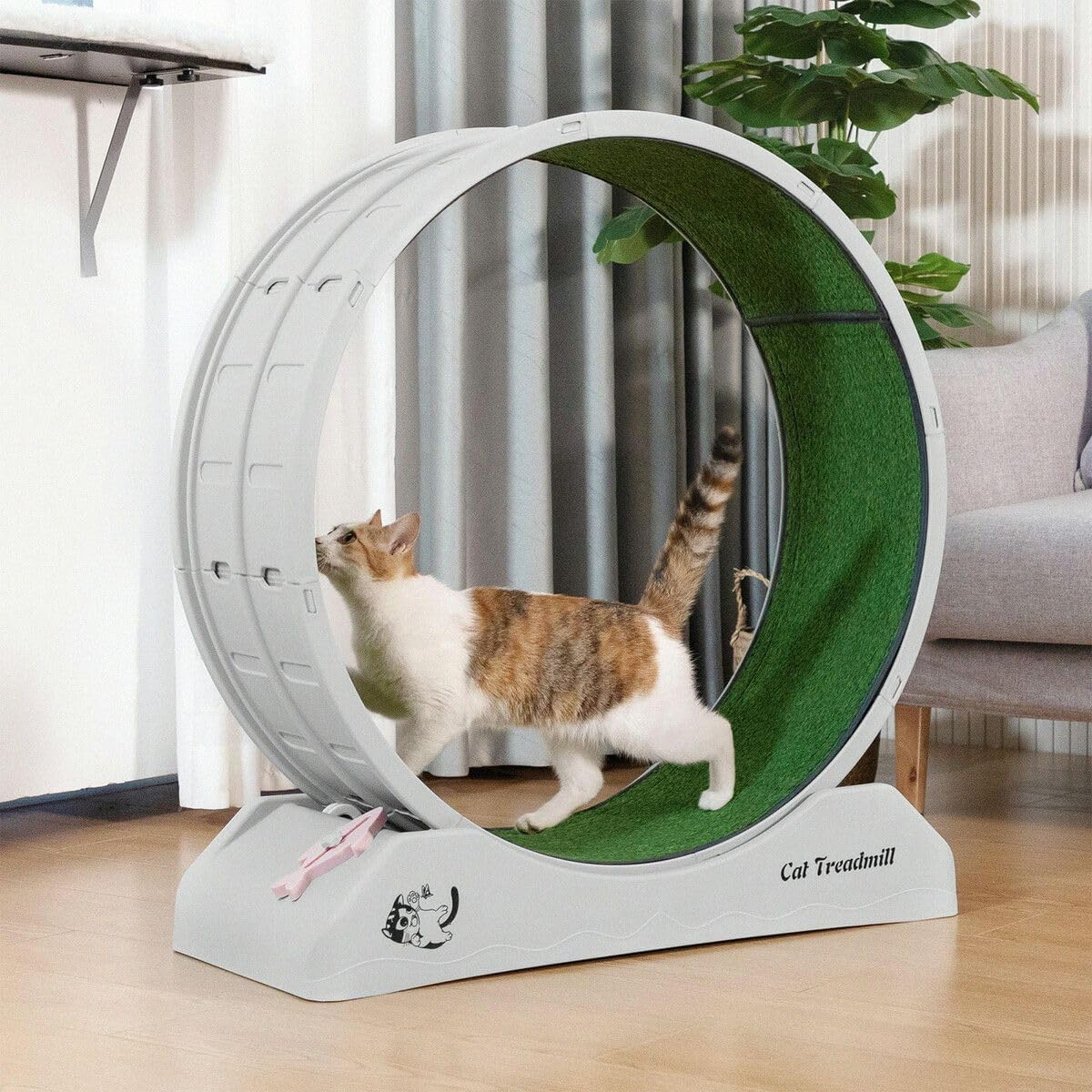 Pet Scene Cat Toy Exerciser Cat Wheel Running Fitness Workout Treadmill Machine Indoor Feline Spinning Walking Training Circle Plastic,With 2PCS Run Surface