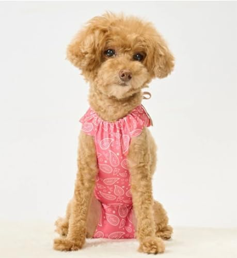 Anifull Scratching Apron for Dogs, Paisley Red Dog Small image number 3