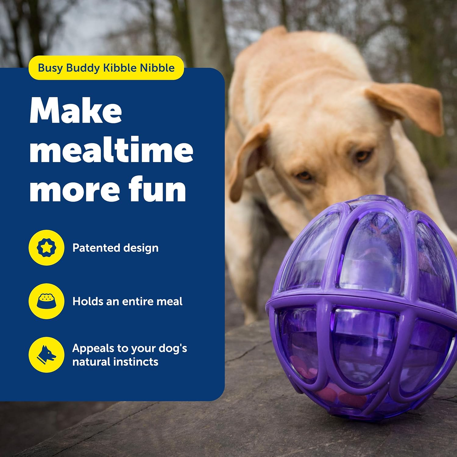 Petsafe Busy Buddy Kibble Nibble Meal Dispensing Dog Toy, Small - Pty00-13739,Purple - S (Pack Of 1) image number 3