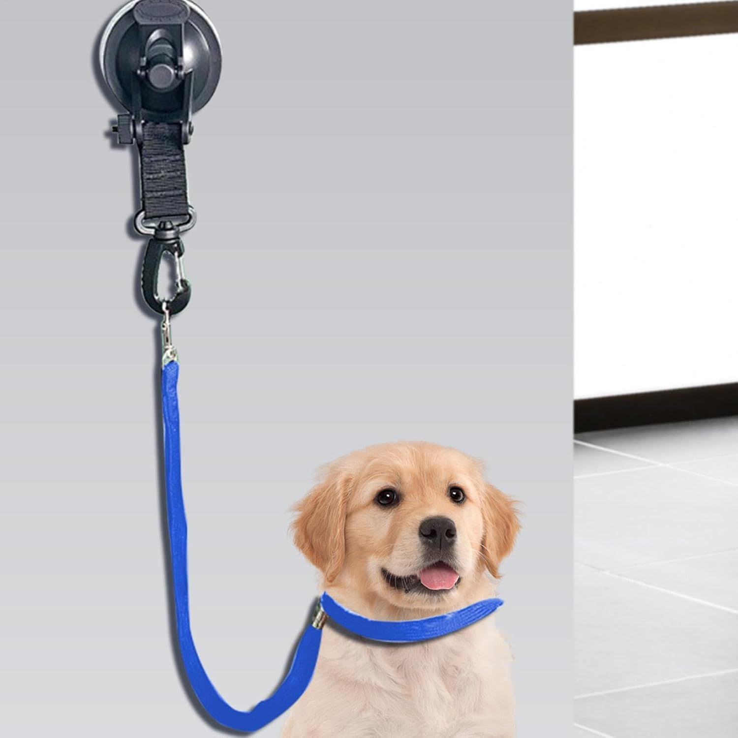 Dog Grooming Loops,Pet Bath Tether with Suction Cup - Dog Cat Fixed Safety Rope, Dog Restraint Grooming Noose for Pet Shower Bathing Grooming image number 6