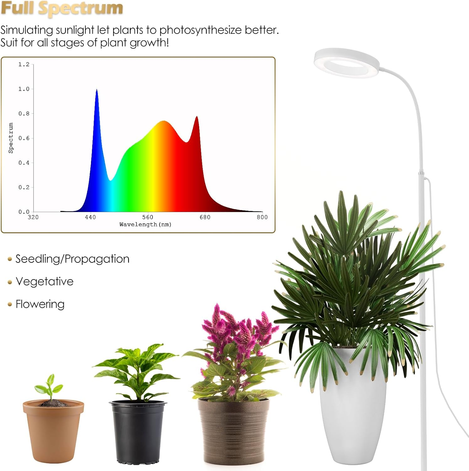 GLOWRIUM Grow Lights for Indoor Plants, 20W Full Spectrum LED Grow Floor Lamp with Stand Adjustable Height and Angle, White Plant Light with 3/9/12H Grow Light Timer image number 4