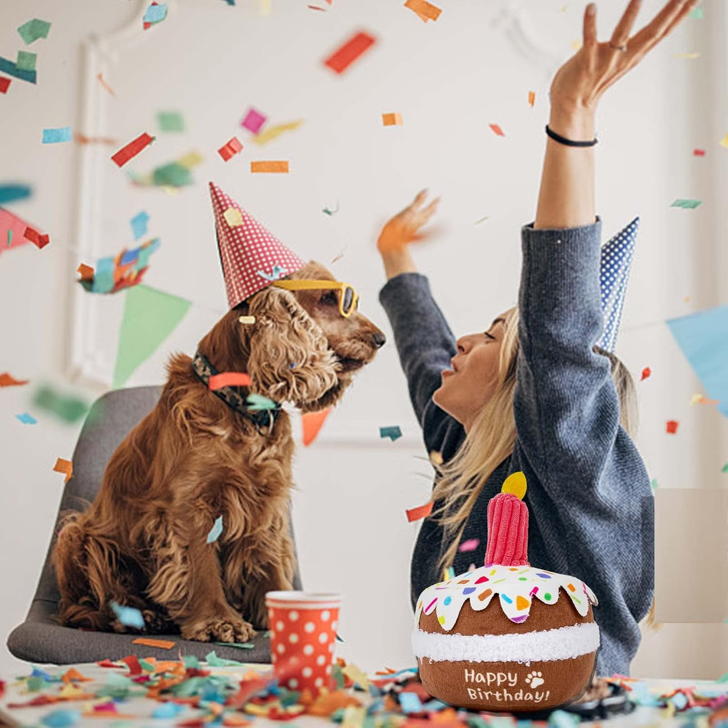 Lilfrd Dog Birthday Toy, Birthday Cake Toys for Puppy Gifts, Squeaky Plush Dog Toys image number 6