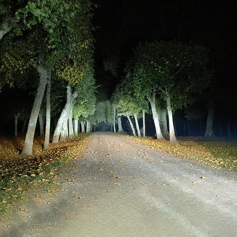 Premium D3S HID Xenon Headlight Bulbs (Pair) &ndash; 6000K Pure White, 35W/42V &ndash; OEM Replacement with German UV Quartz Burners &ndash; 3-Year Warranty image number 1