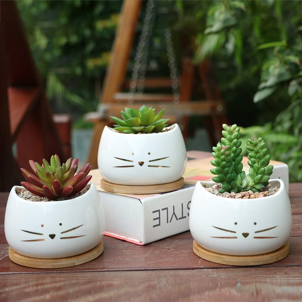 Koolkatkoo 3.2 Inch Cute Cat Ceramic Succulent Planter Pots with Removable Saucer Unique Cactus Planters Porcelain Decorative Flower Pot for Cat Lovers Set of 3 White