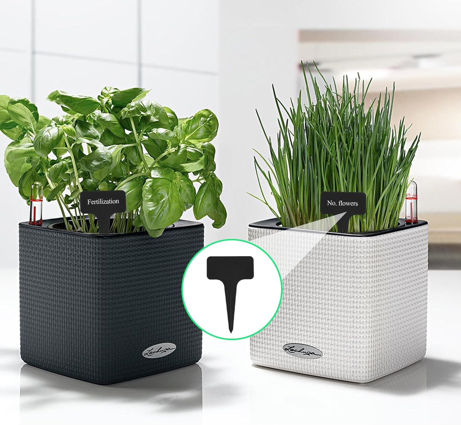 100 Pcs Black Plant Tags, Garden Label Potted Plants, Reusable T-Type Garden Labels Nursery Stake Tags, Plant Name Labels, for Outdoor Plants Herbs Flowers image number 5