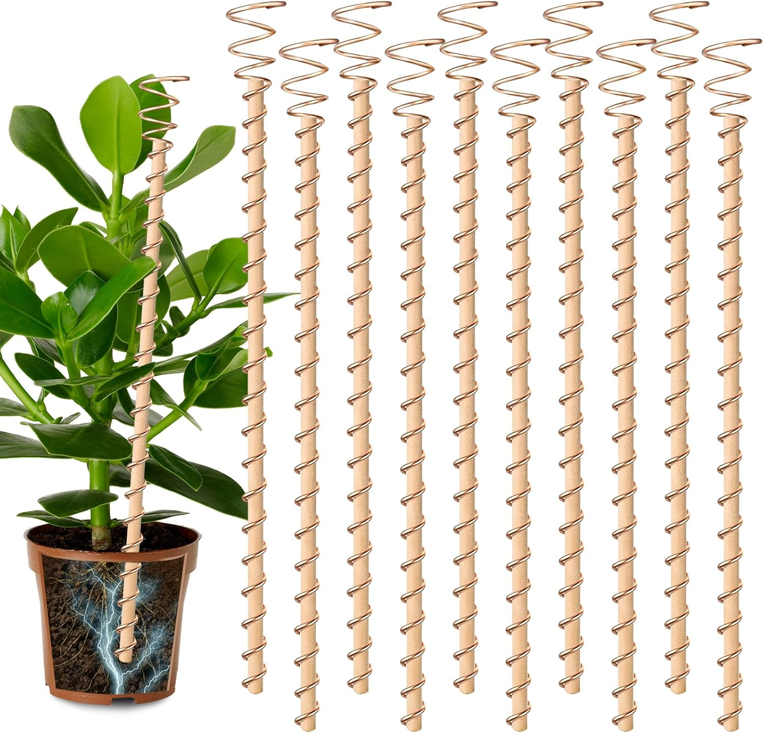 10Pcs Electroculture Plant Stakes, 13.5''/17" Available Copper Coil Wire Antennas Garden Stakes, Tensor Rings Kit, Copper Rods Electronic Planting for Growing Vegetable Garden Plants Support image number 4