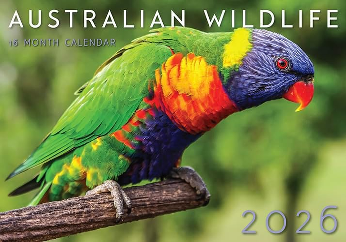Australian Wildlife 2026 Rectangle Wall Calendar 16 Months Hanging Planner Gift