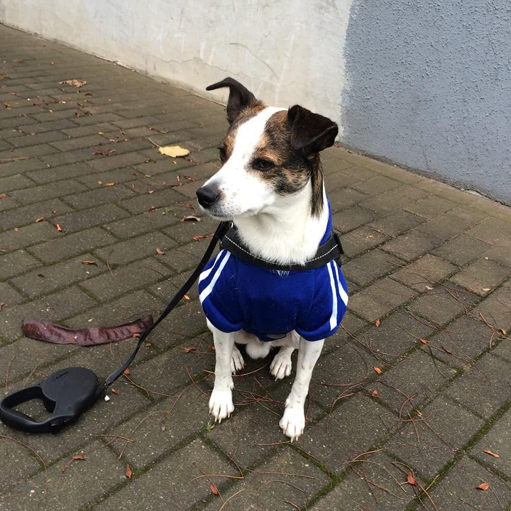 EASTLION Large Dog Warm Hoodies Coat Clothes Sweater Pet Puppy T Shirt,Grey 3XL