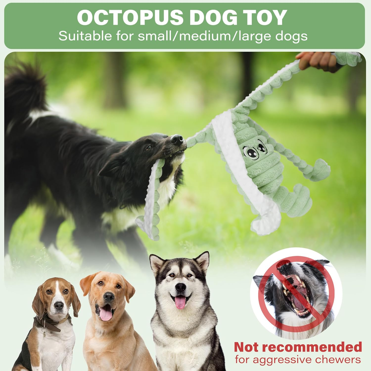 Prime Pets Dog Toys for Large Dogs, 27&rdquo; Extra Large Plush Octopus Dog Toy, Crinkle Squeaky Dog Toy for Small Medium Large Breeds, Interactive Stuffed Chew Toys to Keep Them Busy, Green - Blue image number 2