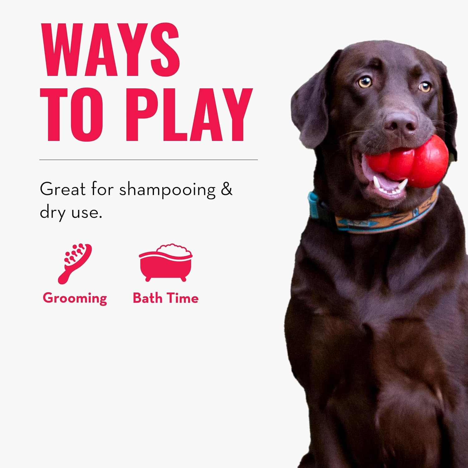 KONG - Zoomgroom - Dog Brush for Grooming and Shampooing - for Large Dogs (Blue) image number 5