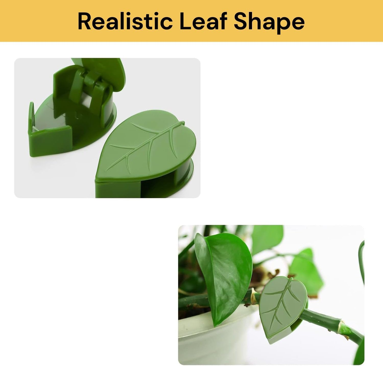 EZONEDEAL 10Pcs Plant Climbing Wall Fixture Clips with Acrylic Adhesive Sticker Plant Fixer Invisible Wall Vines Fixing Clips Self-Adhesive Hook Plant Vine Traction for Indoor Outdoor Decoration image number 3