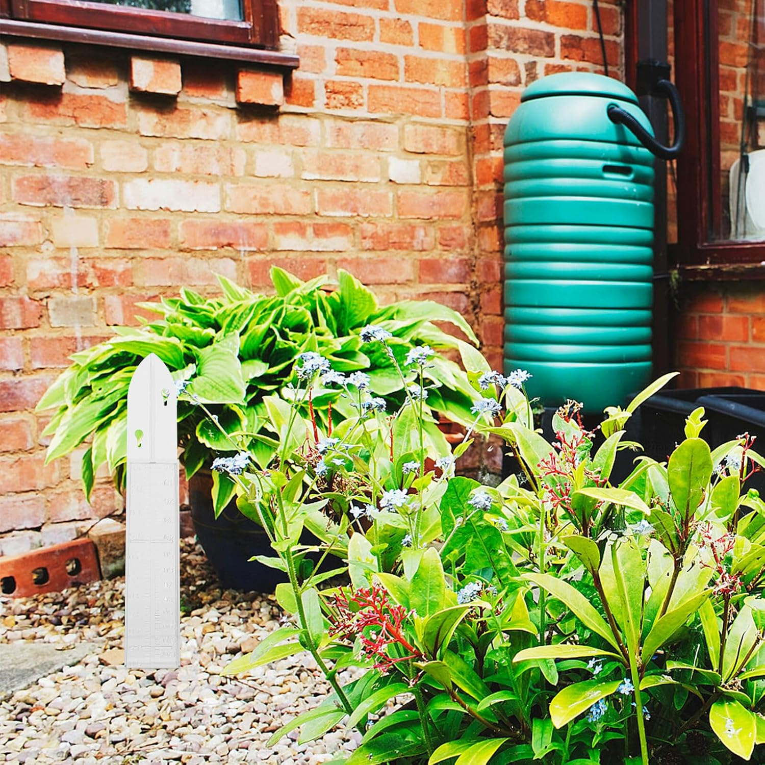 Balacoo Plastic Rain Gauge Outdoor Rainwater Measuring Container for Garden Lawn Agriculture Meteorological Use Weather Resistant Tool image number 5
