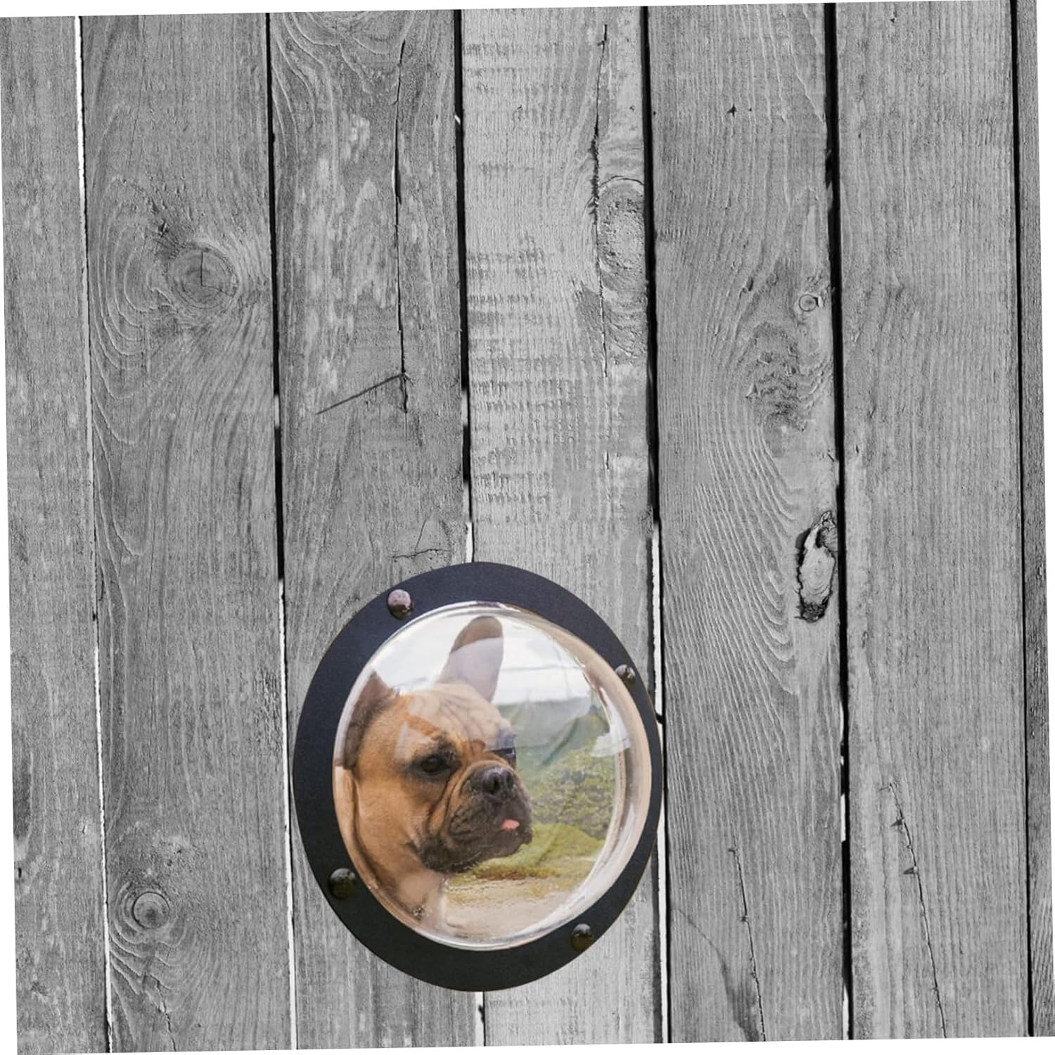 BUGUUYO Dog Fence Bubble Window Pet Fence View Outdoor Dog Kennel Observation Window Dome for Cat House image number 5