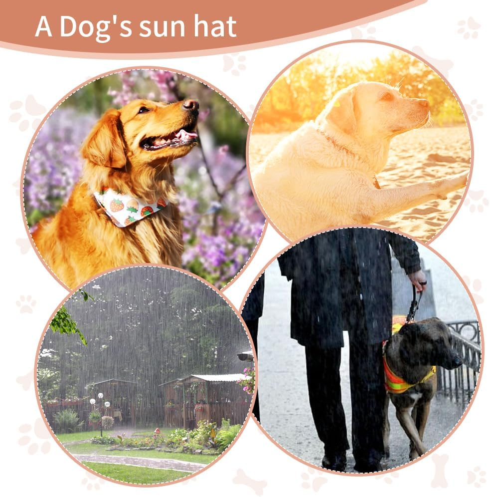Auiepet Outdoor Sun Protection Hat for Dogs, Canvas Dog Sun Hat with Ear Holes and Adjustable Neck Strap (Black, S) image number 4
