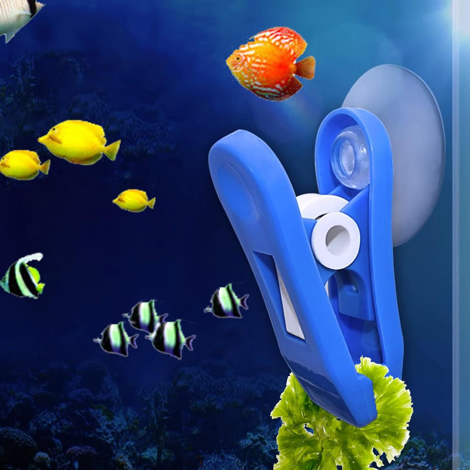 Plant Feeding Clips - Visually Attractive Environment, Water Friends Tools | Aquatic Pets with Practical Accessories for Fish Tanks, Clip Feeder by Al image number 3
