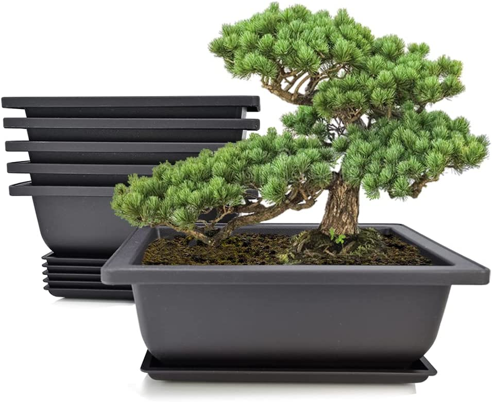 6Pcs/Pack Retro Style Basin Larger Plastic Flower Pot Planters Bonsai Plant Bowl Nursery Pots Plastic Bonsai Training Pots Rectangle Large:8.9" image number 1