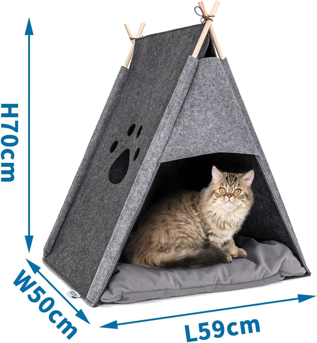 Patapalooza Printed Cat Tent, Durable, Easy to Assemble, Ideal for Play and Rest, Indoor and Outdoor image number 2
