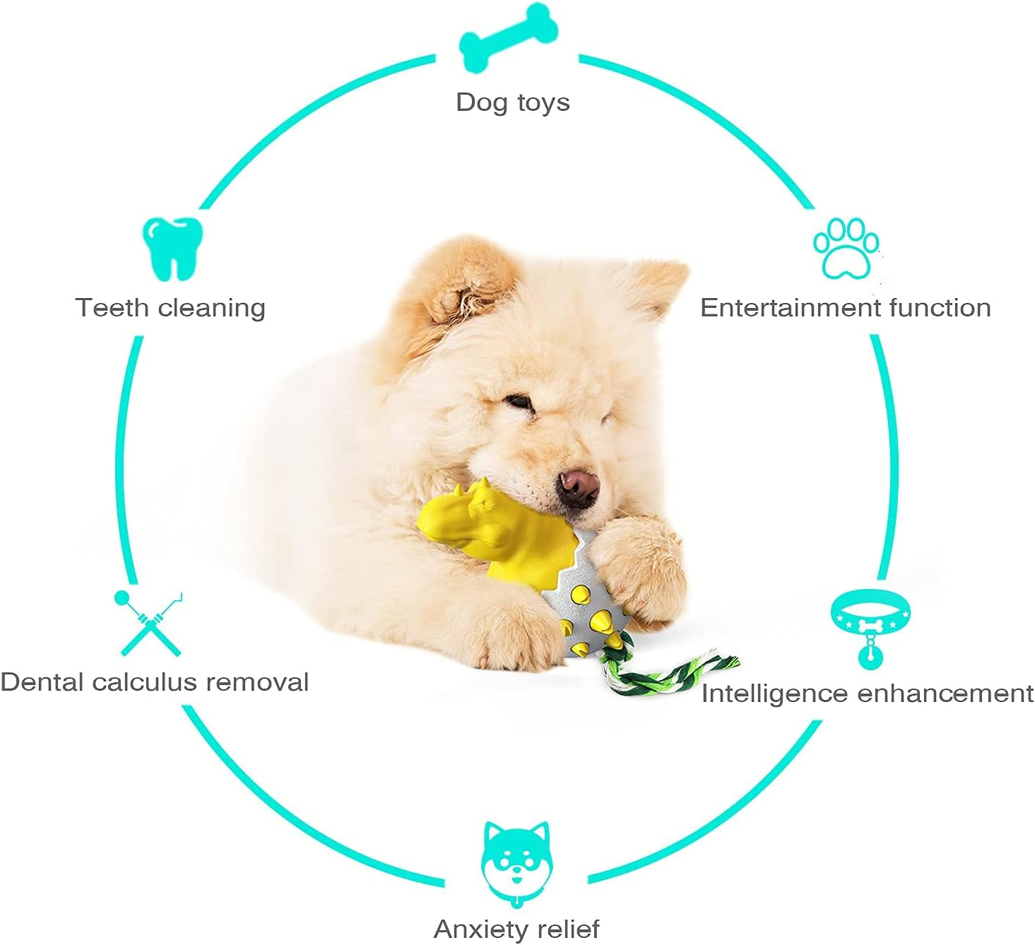 Dog Chew Toy, Creative Boar Egg Looking Molar Stick Bite Resistant Pet Dog Cleaning Toothbrush Interactive Toy for Pet Molar Stick Indestructible Durable Dog Chew Toys