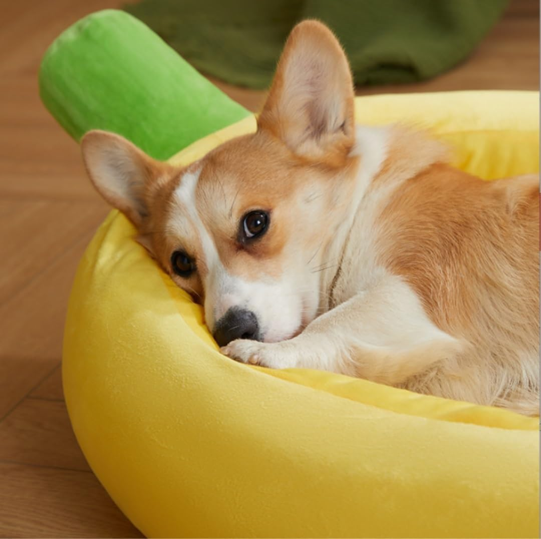 Dog Bed Cat House Pet House Pet Bed Orthopedic Dog Couch Bed with Removable Washable Cover and Nonskid Bottom Dog Beds for Large Medium Dogs Dog House Cat Bed Pet Nest ( Color : Yellow , Size : 62*38* image number 4