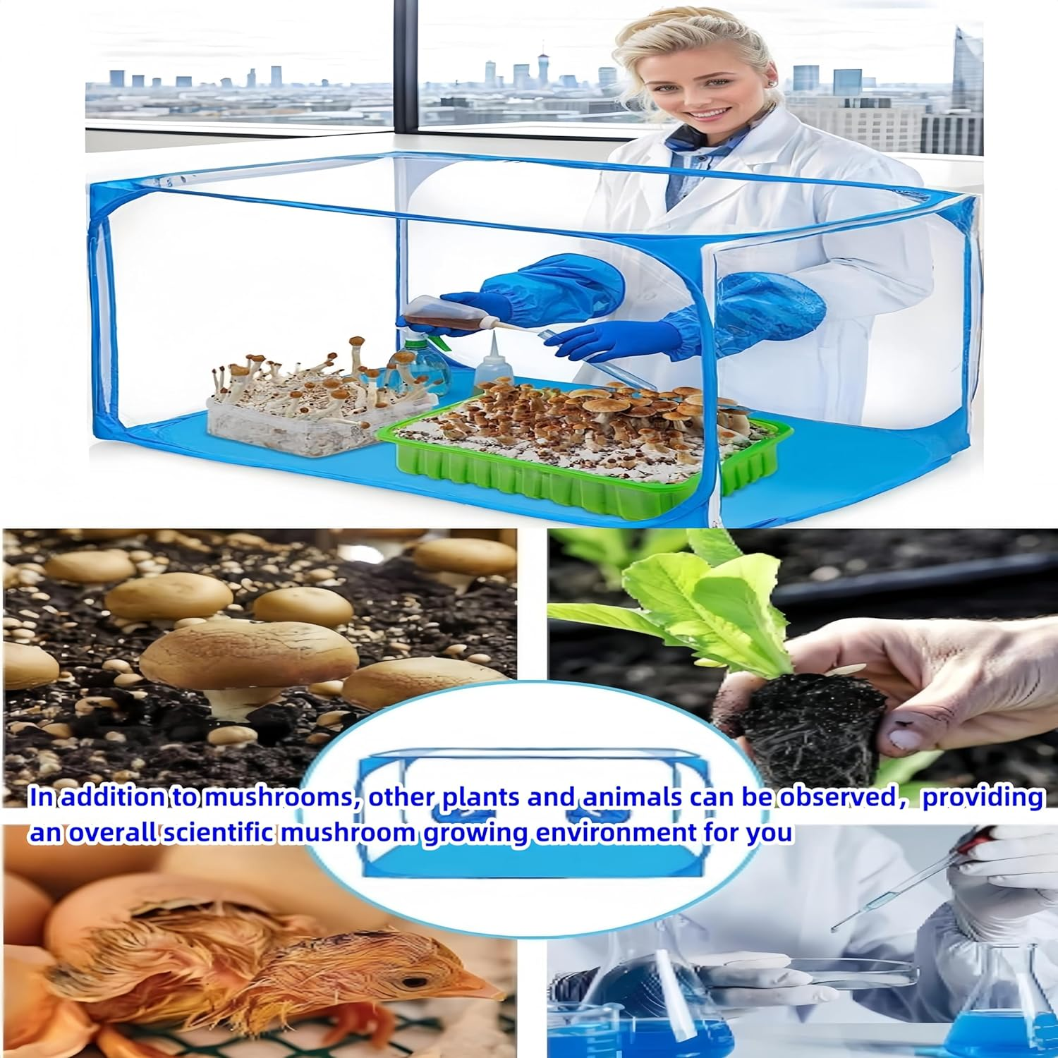 Febohao Mushroom Growing Tent Waterproof Foldable Still Air Purifier Storage Box Pop up Mushroom Growing Container Kit House Mycology Fume Hood Propagatio Stations Greenhouse Gardening Plant image number 2