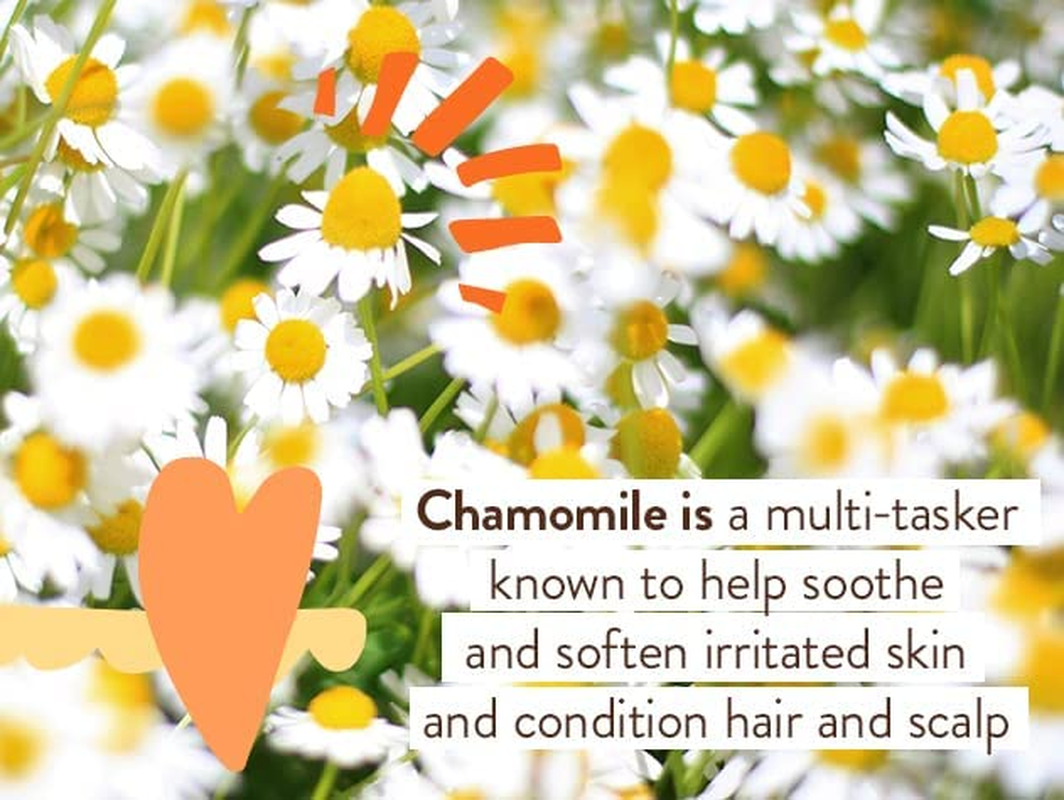 Babo Botanicals Sensitive Baby Zinc Fragrance Free Diaper Cream, 3 Oz image number 3