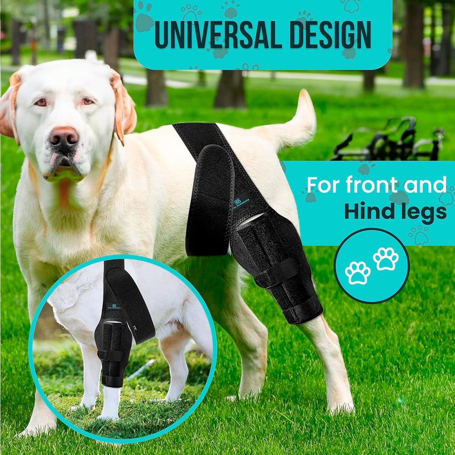 Dog Leg Braces for Back Leg - Dog Knee Brace for Support with Cruciate Ligament Injury, Joint Pain and Muscle Sore,- Dog Knee Brace for Torn ACL Hind Leg Adjustable Rear Leg Braces (Small) image number 5