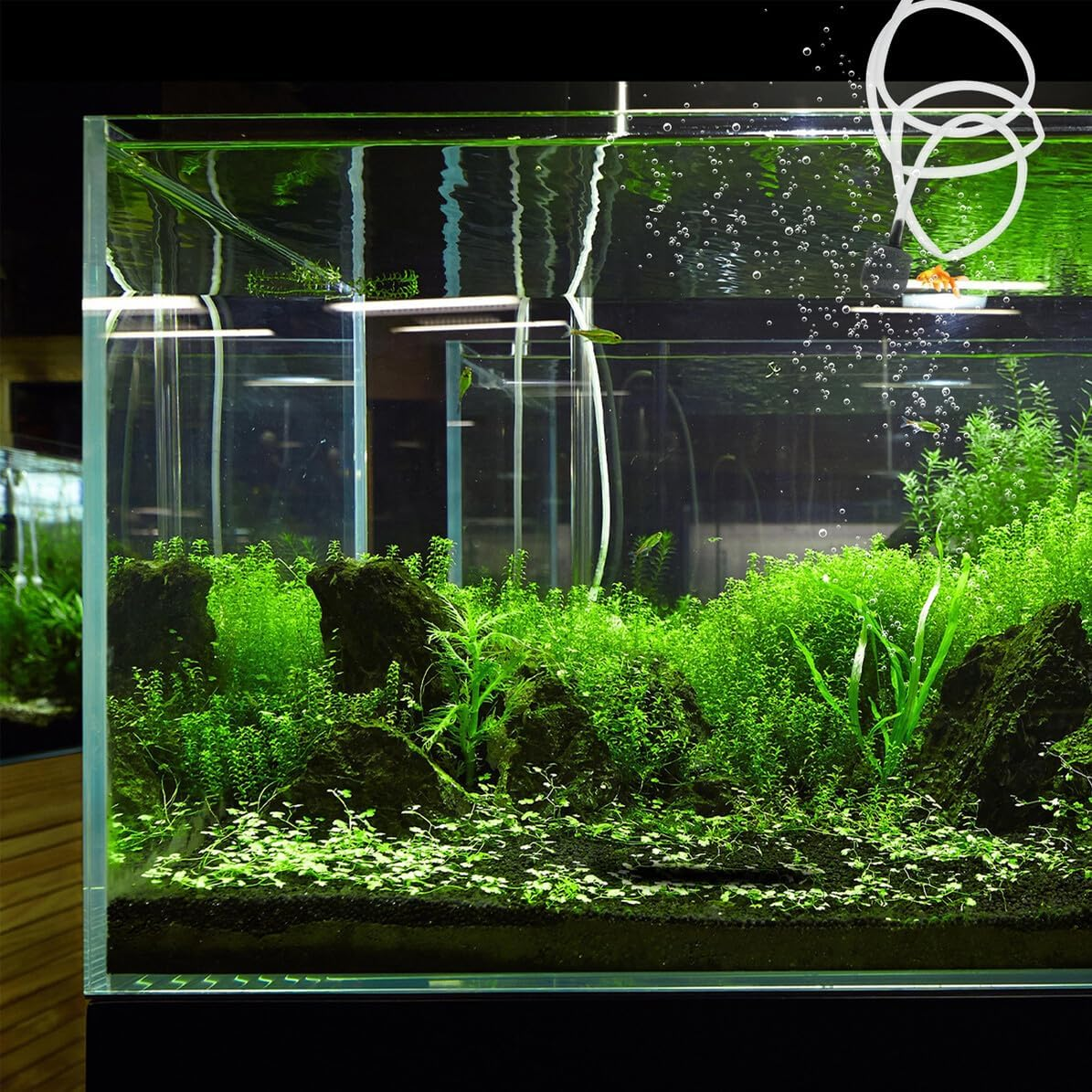 Portable USB Pump for Aquarium Small Rechargeable Aeration Air Pump with Air Volume Lightweight and Stable Bubble for Fish Tank Increase image number 1