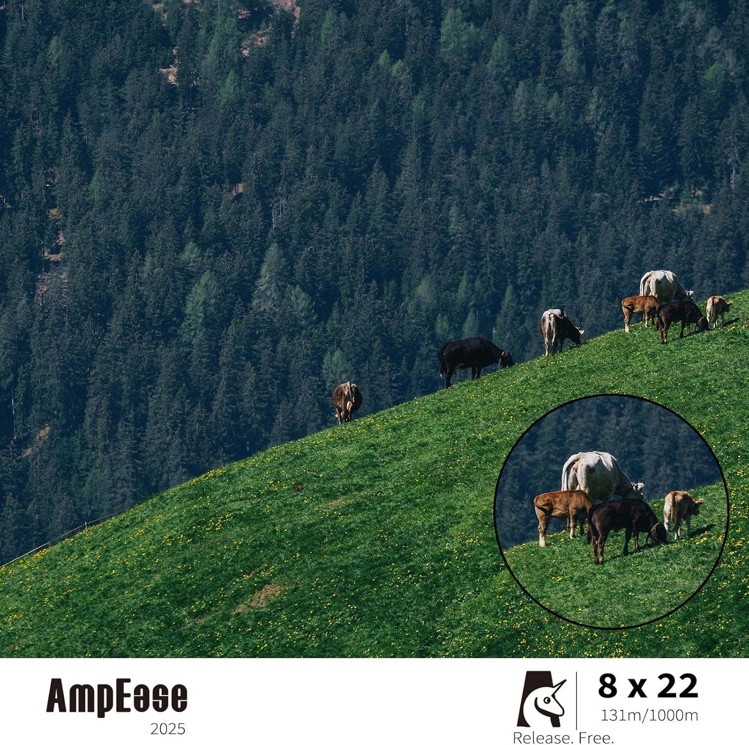 Ampease 8X22 Compact Binoculars &ndash; Waterproof, High-Powered Binoculars for Adults and Kids with Low Light Vision, Ideal for Bird Watching, Hunting, Travel, and Sightseeing image number 3