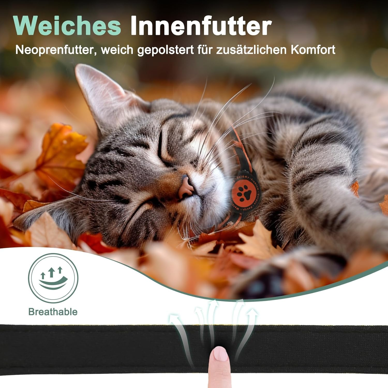 Airtag Breakaway Cat Collar, Reflective Kitten Collar with Airtag Holder and Bell, Comfortable Padding, Adjustable, Durable, Suitable for Cats (Orange, S) image number 4