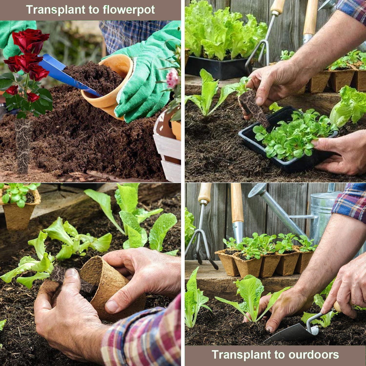 Wzenclave 50 Pack Grow Sponges Hydroponic Planting Block Planting Basket Seedling Block Planting Sponge Soilless Planting Basket Plant Growing Plugs Sponges for Indoor Hydroponic Plants Growth image number 5