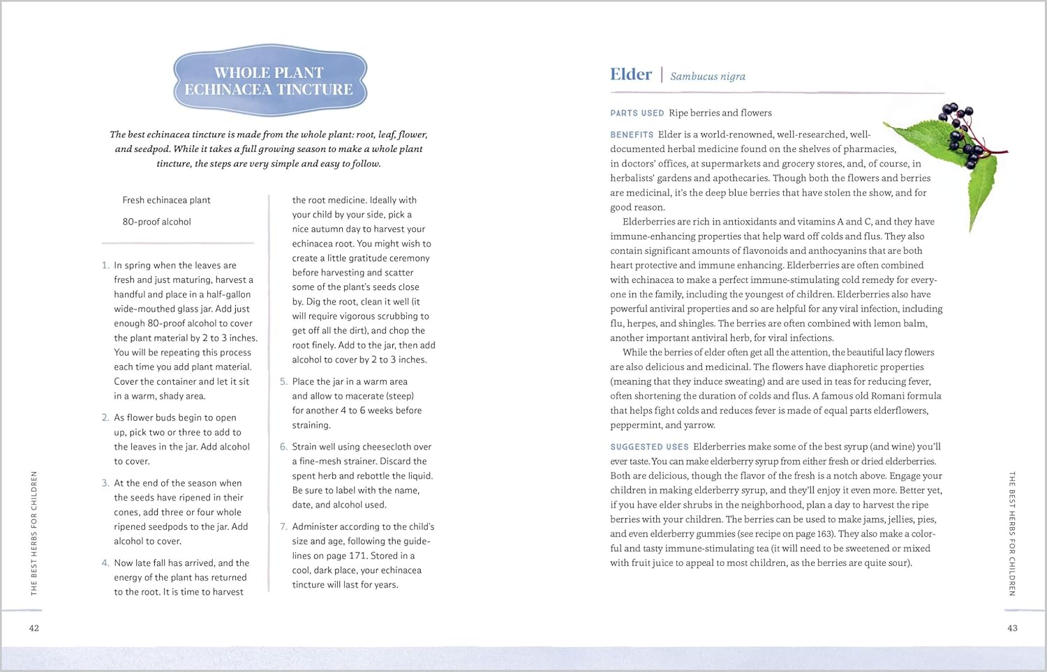 Herbs for Children'S Health: How to Make and Use Gentle Herbal Remedies for Common Childhood Ailments image number 2