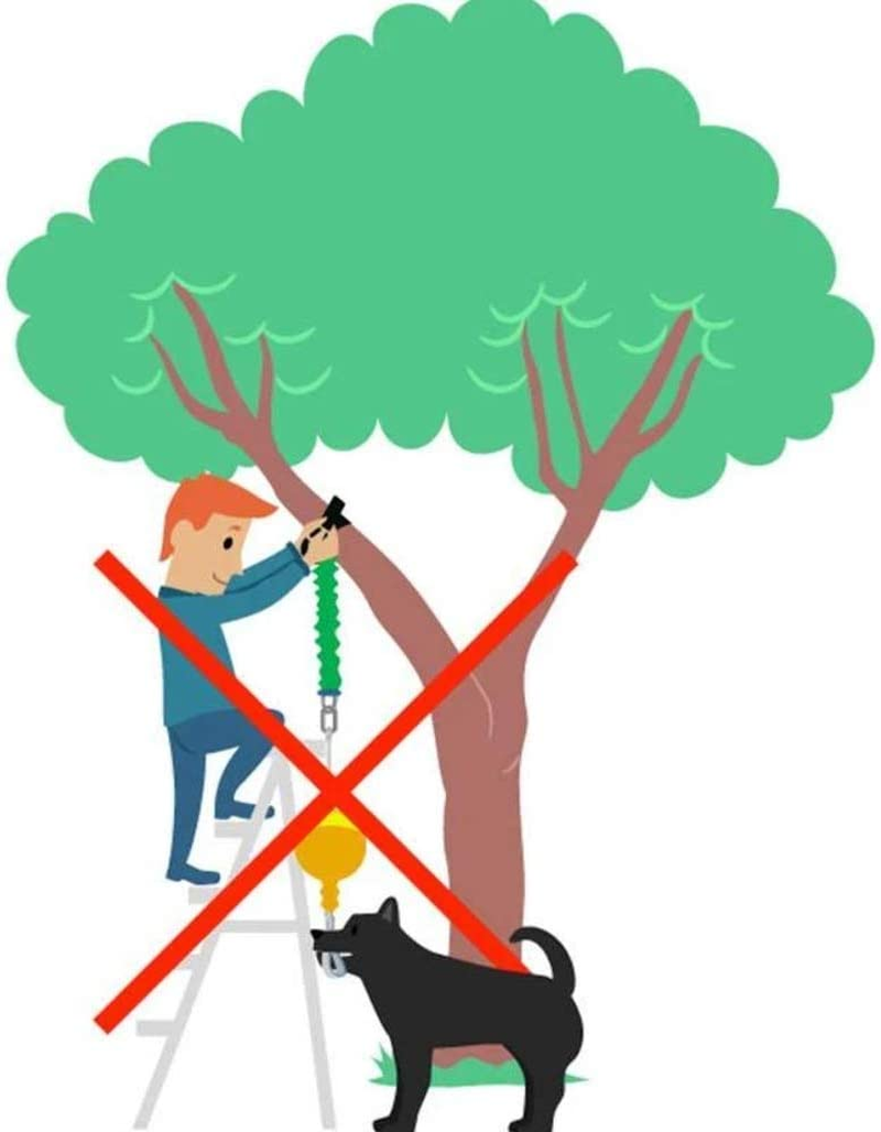 Aussie Dog Home Alone, XL, XL, Yellow