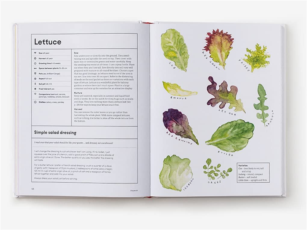 The Kitchen Garden:Sowing, Growing and Cooking for the Garden Enthusiast