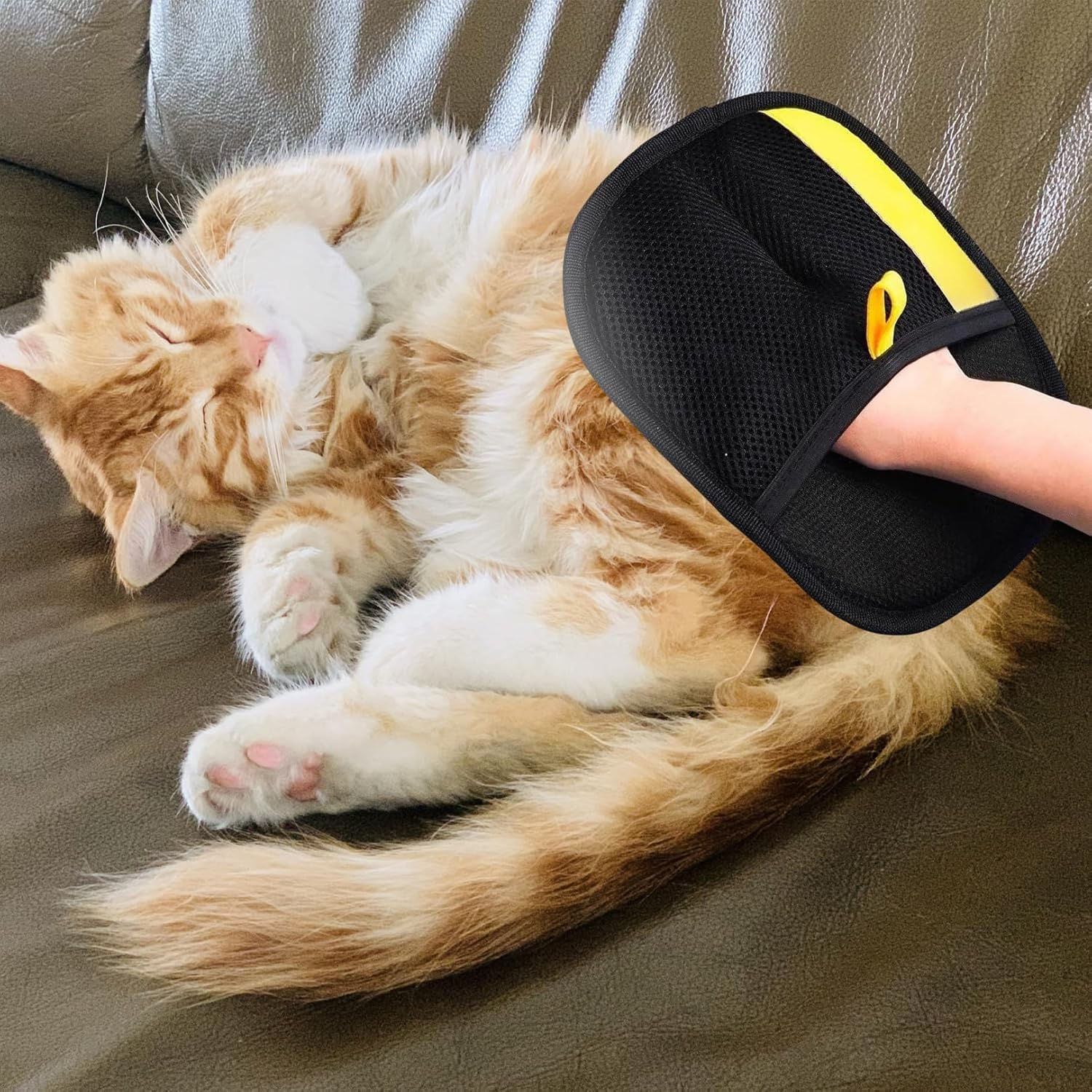 Pack of 2 Cat Hair Remover Gloves, Double-Sided Care Gloves, Pet Hair Remover Glove, Fur Gloves, Cat, Reusable Hair Remover Tool for Dogs, Cats and Horses image number 1