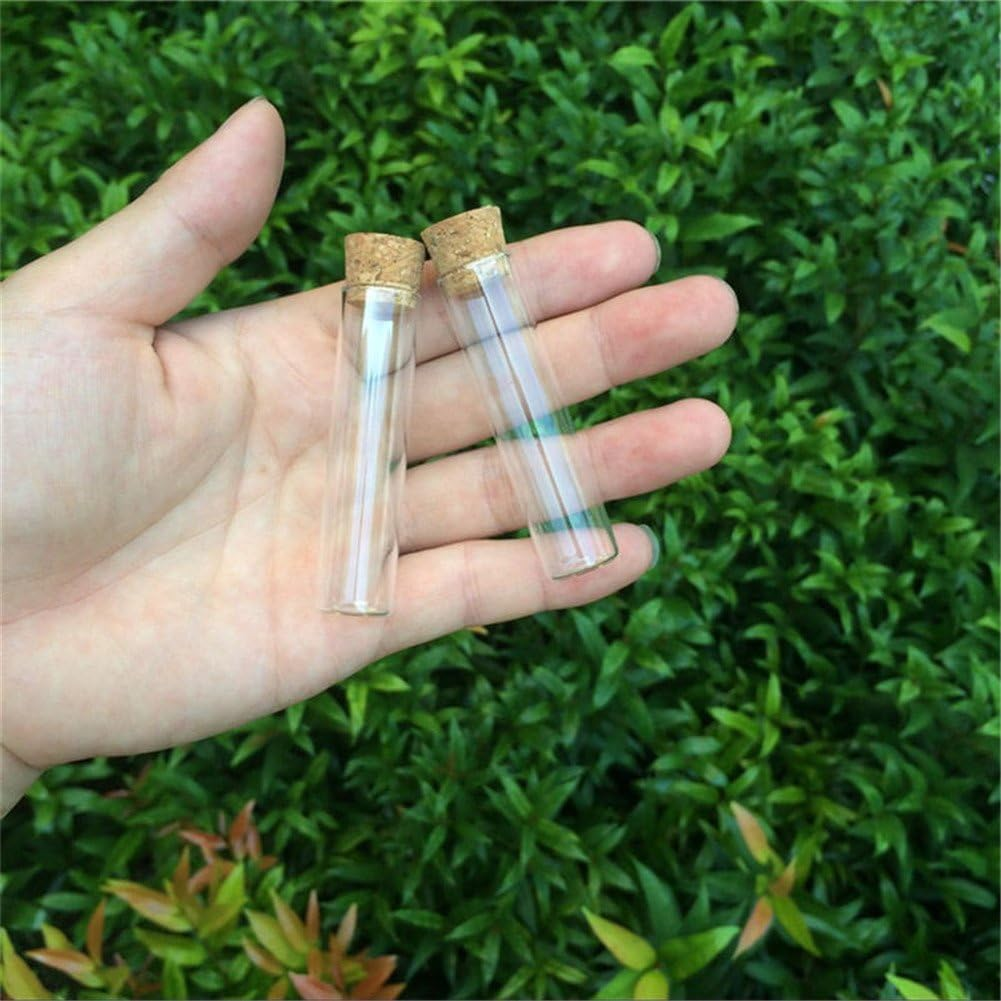 50Pcs 6Ml Mini Clear Glass Bottles with Cork Small Tiny Vials Jars Containers Cute Wishing Bottle Mini Glass Jars Glass Test Tube (16X65X14Mm)&hellip; image number 6