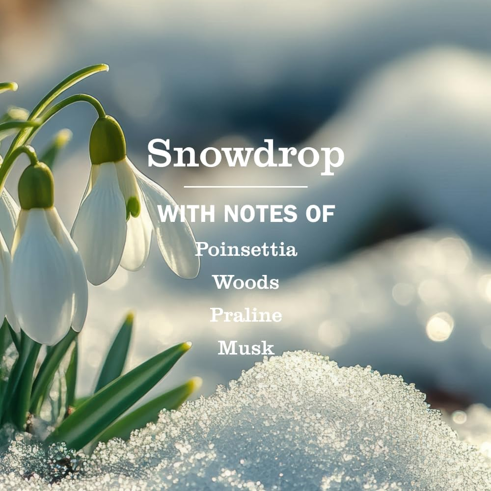 Liquid Hand Soap, Snowdrop Holiday Seasonal, 12.5-Oz. 11363 image number 4