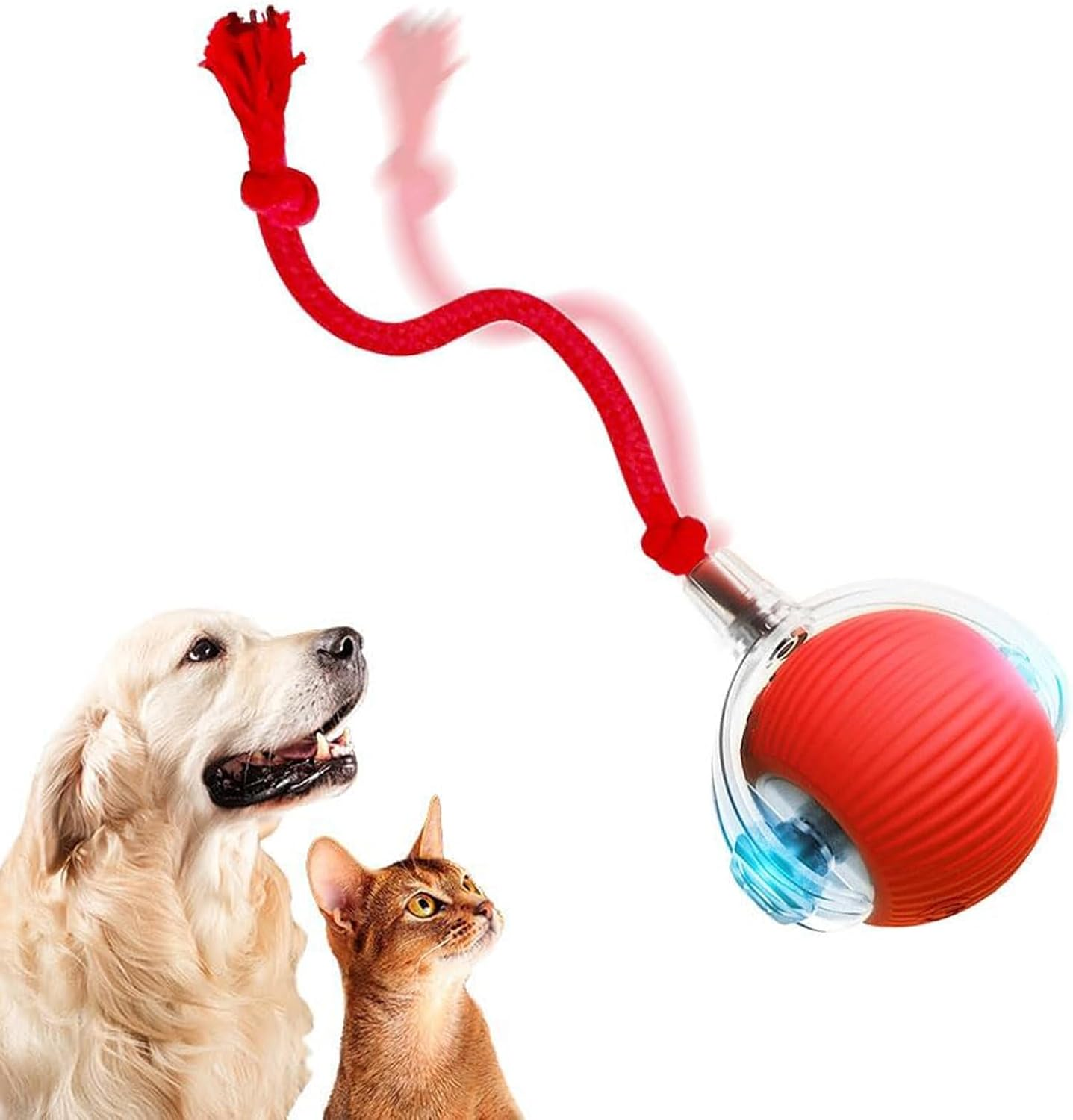 Interactive Pet Ball Toy,Automatic Rolling for Indoor Cat Ball,Rechargeable Silicone Premium Self Rotating Ball for Cats Dogs,Green