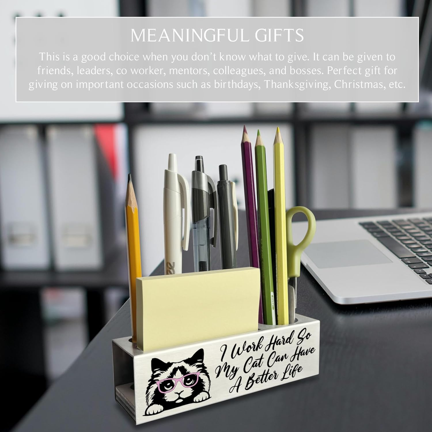 Ragdoll Cat Pencil Holder, Funny Ragdoll Cat Owner Lover Office Desk Decor Organizer Accessories Gifts Stainless Steel Pen Holders Apen2 image number 2