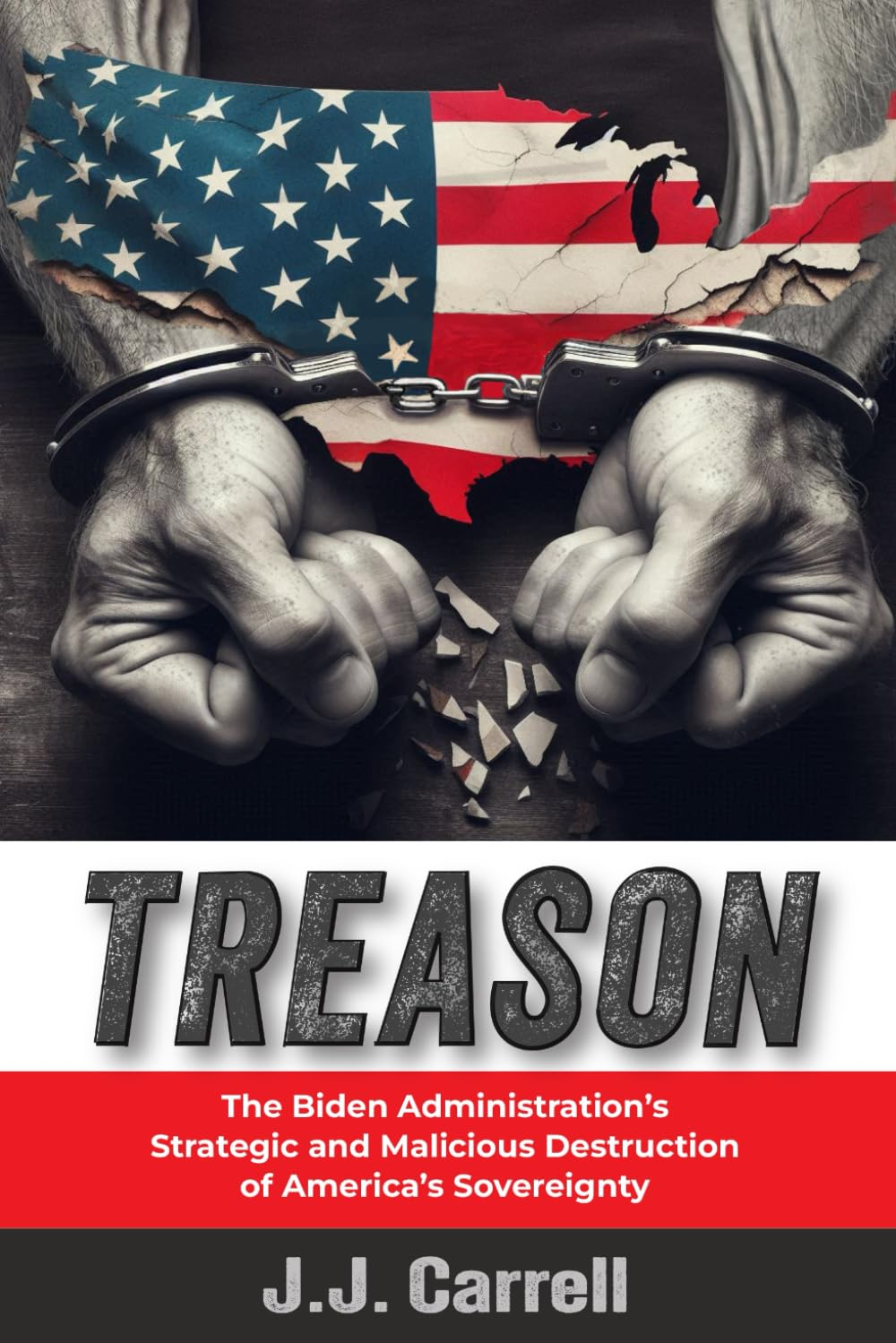 TREASON: the Biden Administration'S Strategic and Malicious Destruction of America'S Sovereignty