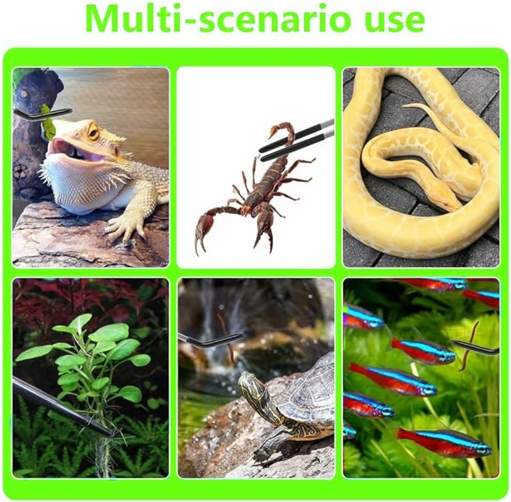 2 Pcs Reptile Feeding Tongs,Worms Tongs,27Cm/10.6" Straight and Curved Tweezers for Aquarium,Aquascape Tools, Stainless Steel Feeder Tools for Hold Bearded Dragon Lizards Reptiles image number 6