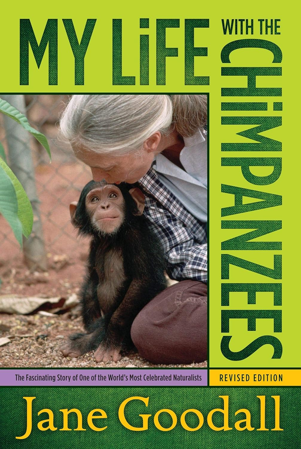 My Life with the Chimpanzees image number 1