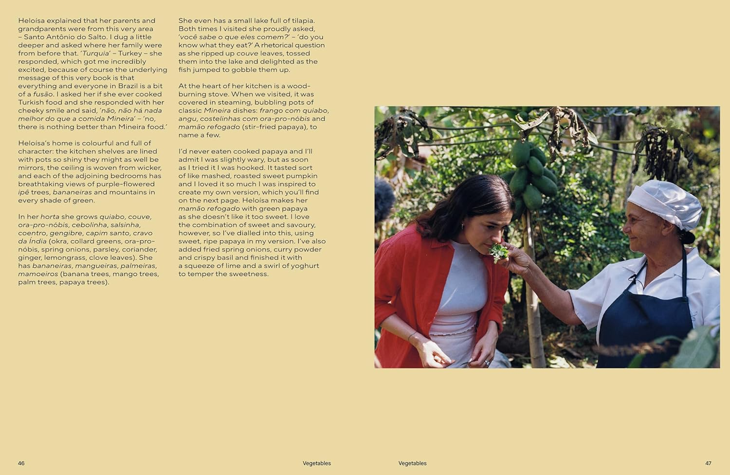 FUS&Atilde;O: Untraditional Recipes Inspired by Brasil