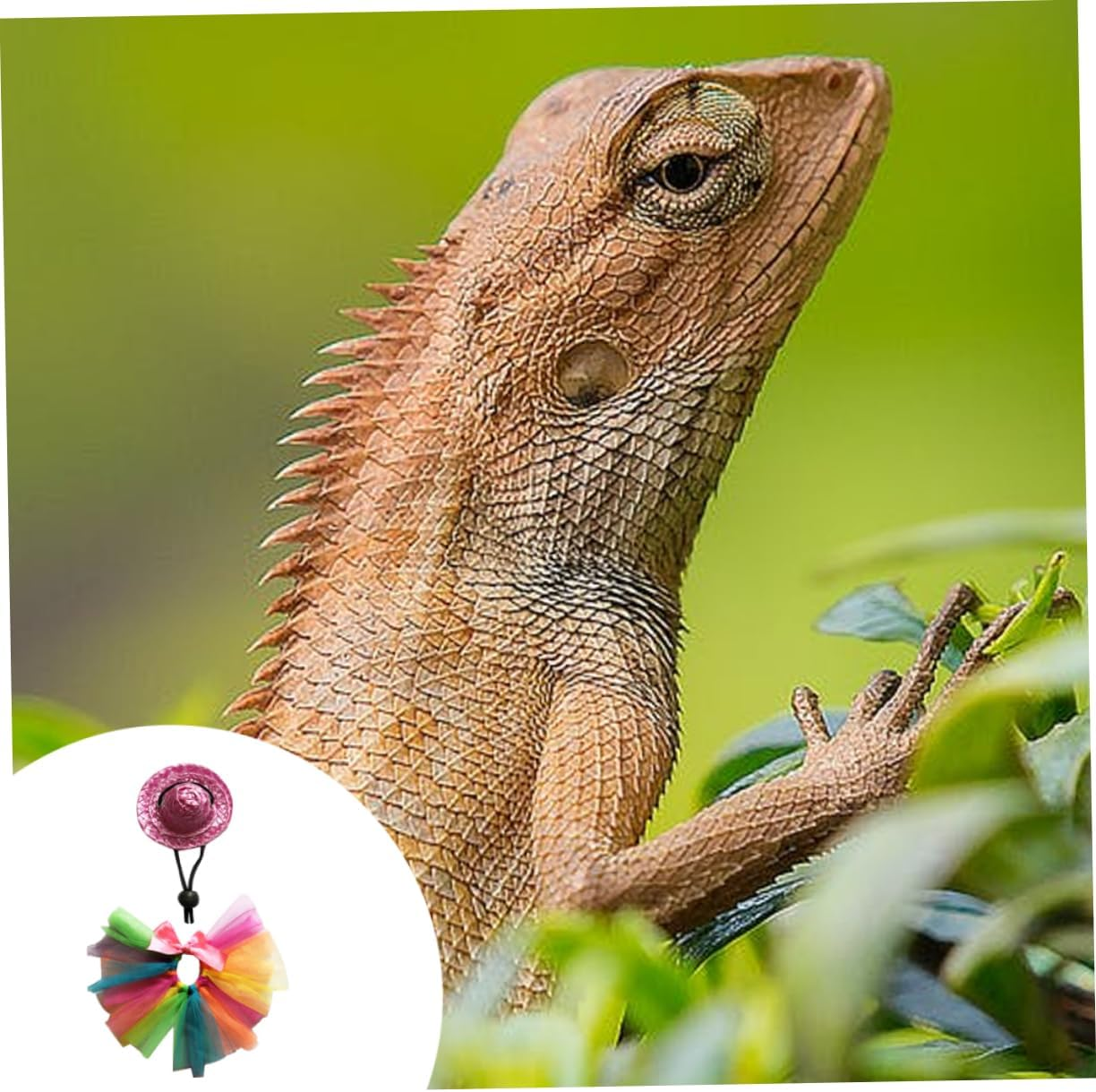 Yardwe 1Set Chameleon Dress up Colorful Hat Skirt Outfit for Lizards Comfortable Pet Costume for Daily Wear Special Occasions and Photoshoots image number 1