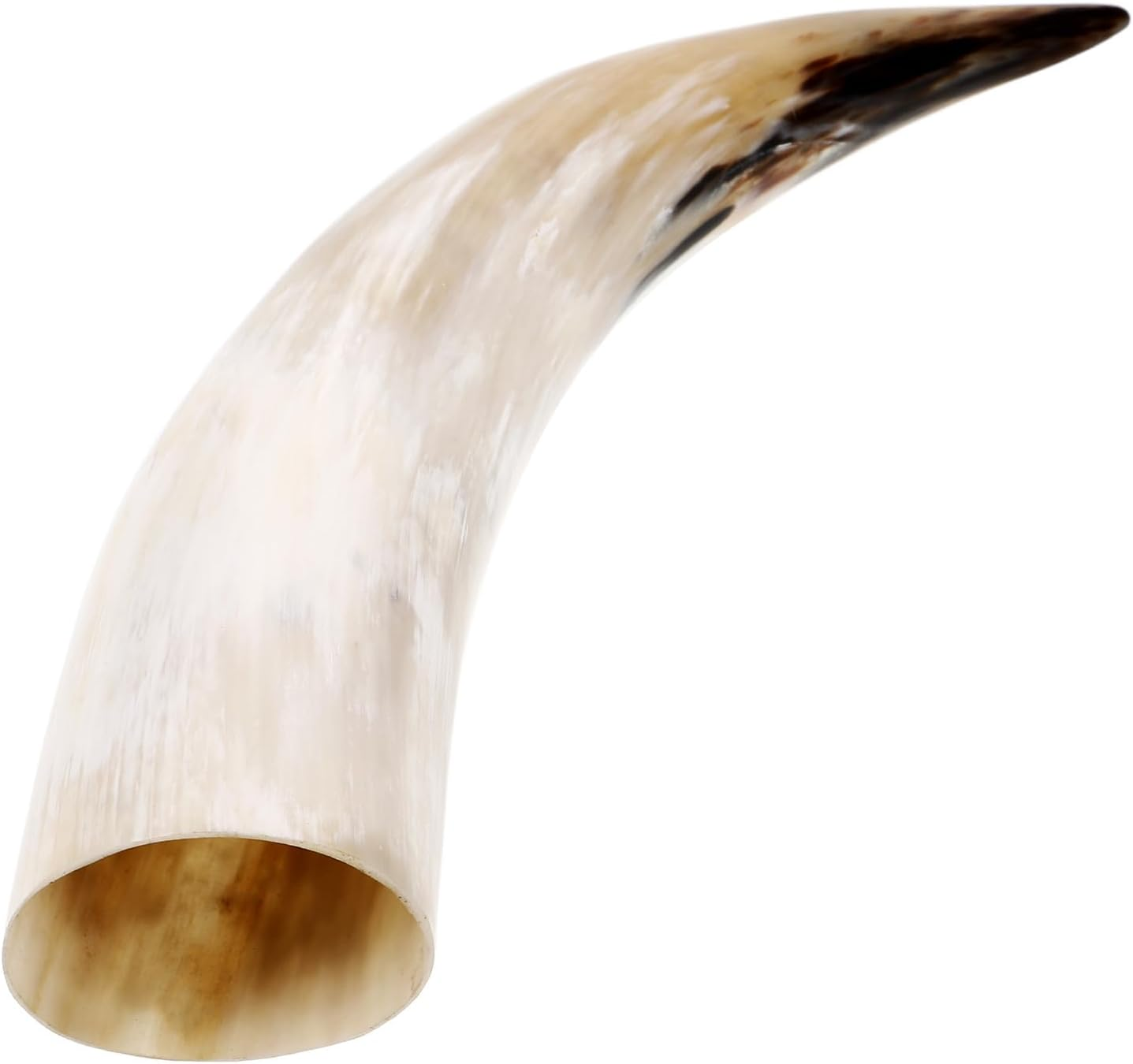Luxshiny Cow Horns Wall Decor Vintage Ox Horn Vase Vintage Decorative Vase Style Ornament for Home Decor Craft, 30 X 7 X 5.5Cm image number 3