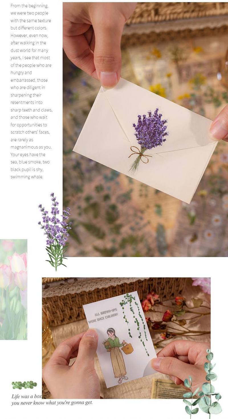 720Pcs /8Pack Supplies Stickers Vintage PET Transparent Decorative，Pretty Retro Floral Stickers Set for Scrapbooking,Journal,Arts, DIY Craft, Album, Phone Case image number 1