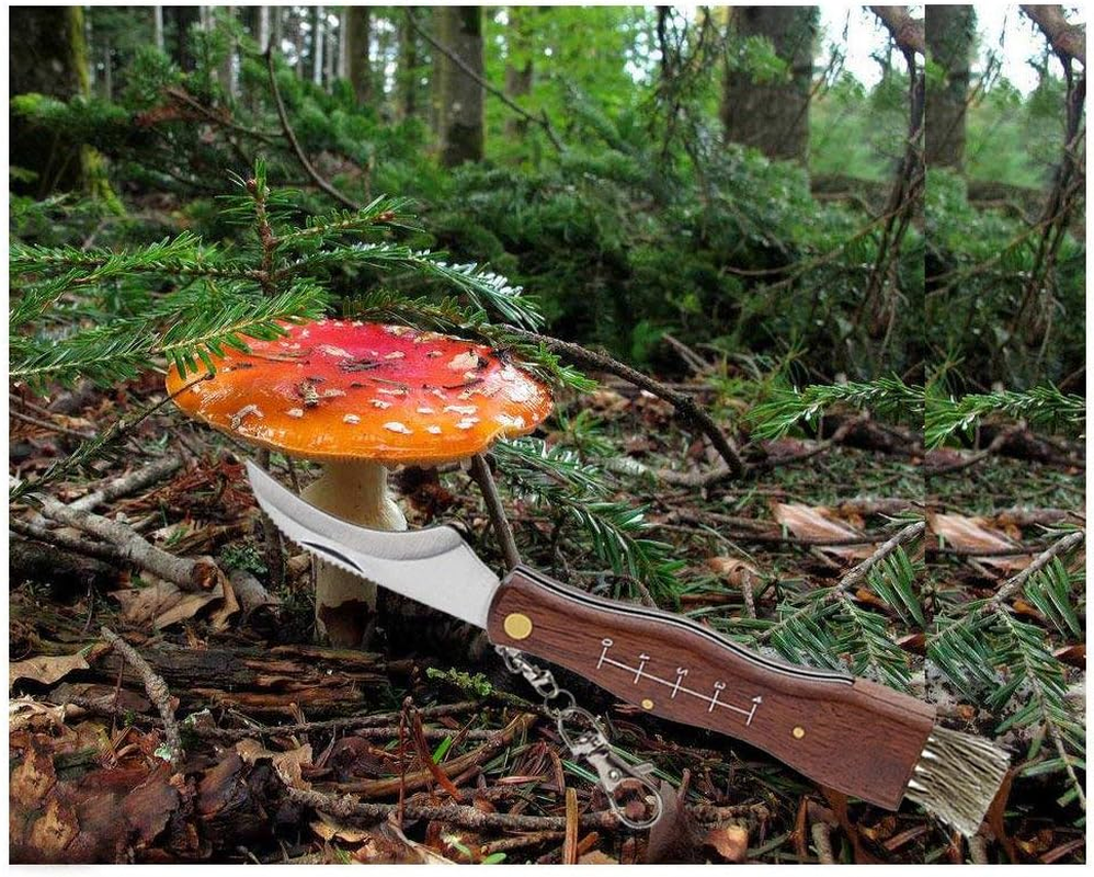 Run-Snail Mushroom Knife, Fungus Knife, Folding Camping Hunting Truffles Harvest Sharp Knives Natural Wood Handle Pocket Knife W/Bristle Brush, SS Pruning Blade, Hardwood Handle image number 1