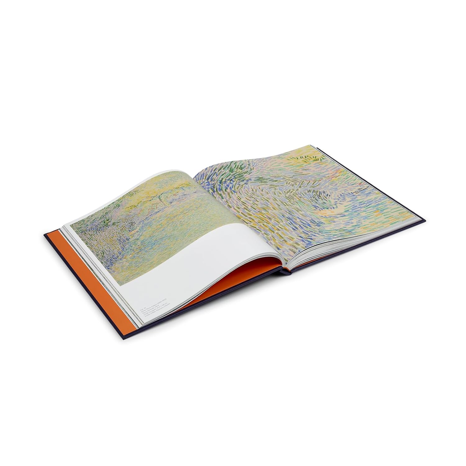 Radical Harmony: Helene Krller-Mller'S Neo-Impressionists image number 1