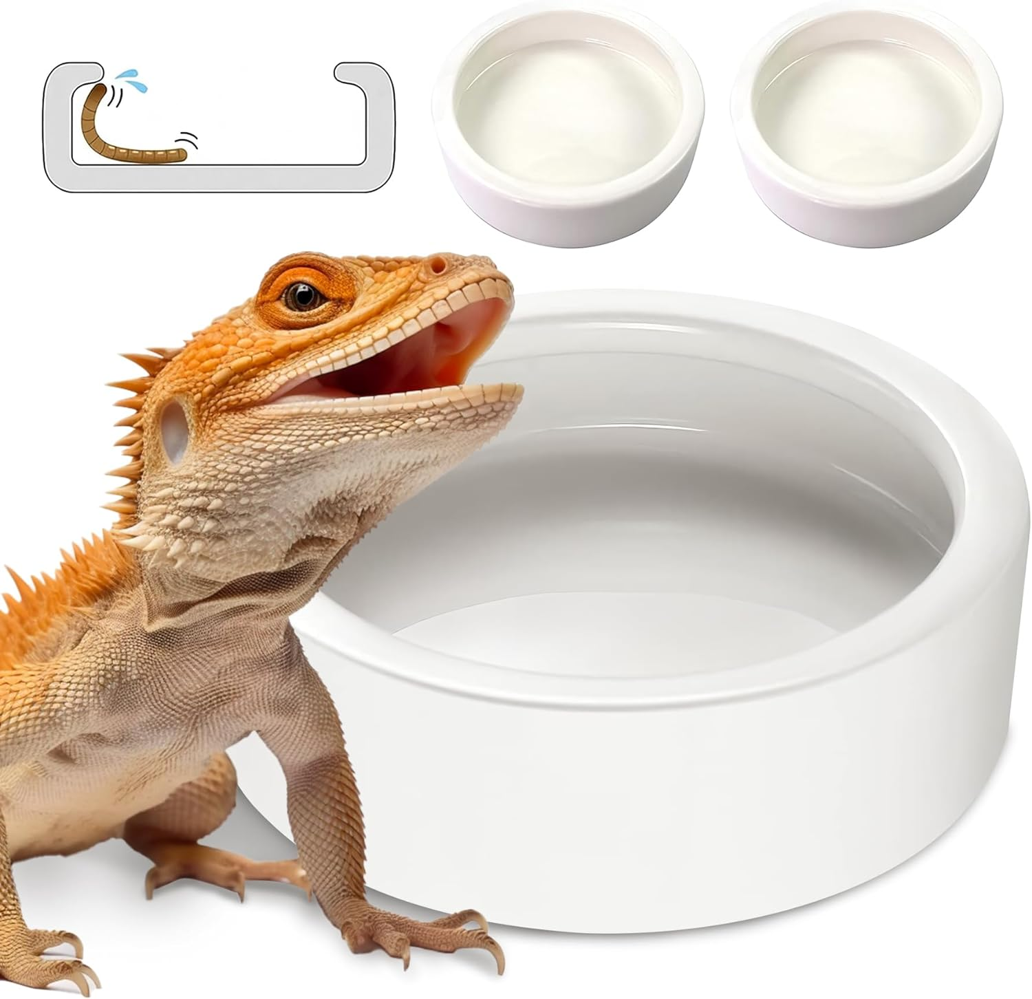 Ceramic Reptile Bowl - Mealworms & Cricket Dish for Gecko, Bearded Dragon & Chameleon - Xl(5In) Anti-Escape Feeder