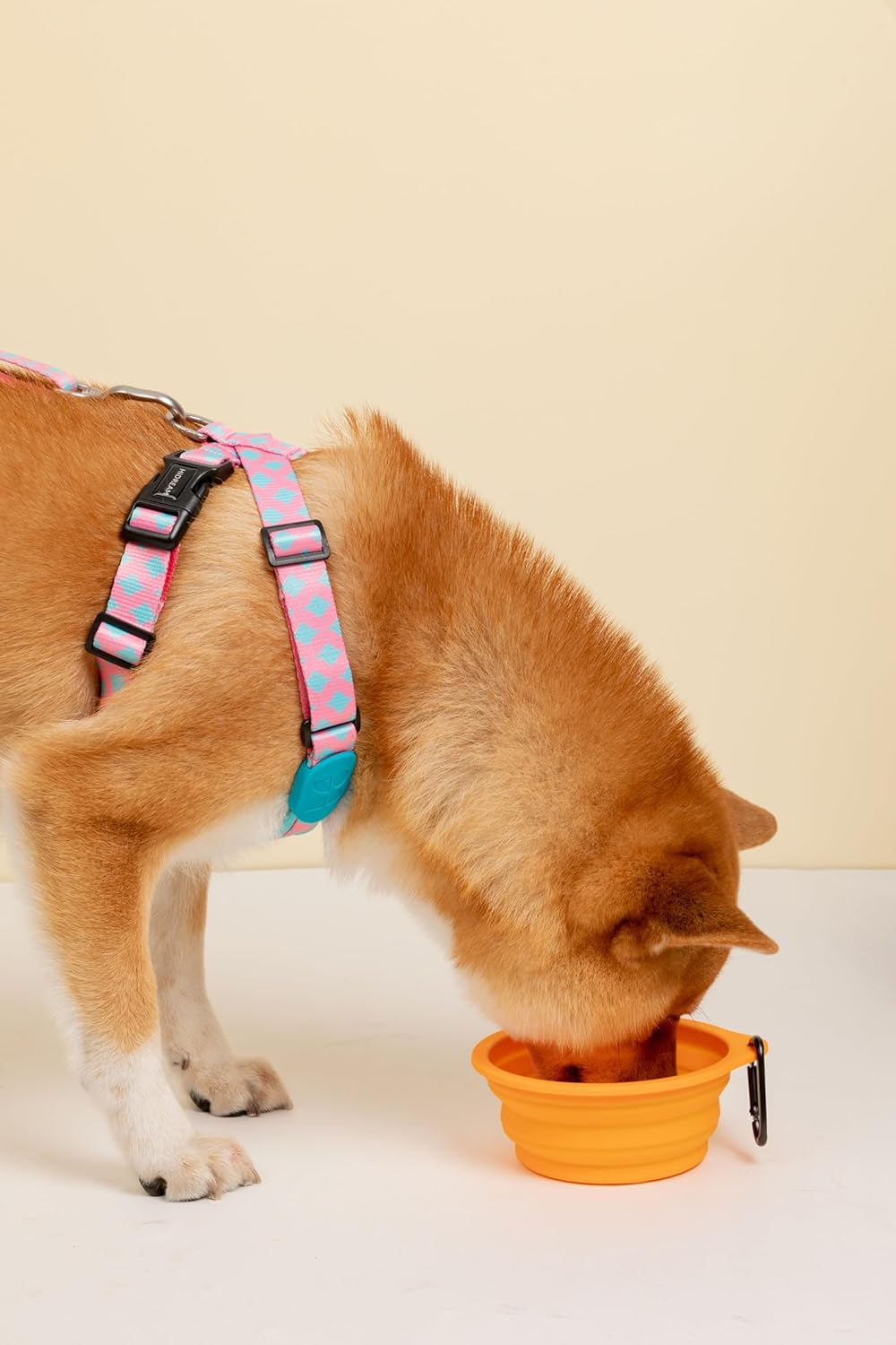 Collapsible Silicone Dog Bowls 600Ml - Portable, Foldable Pet Feeding Bowls with Carabiner Clips (Orange) image number 2
