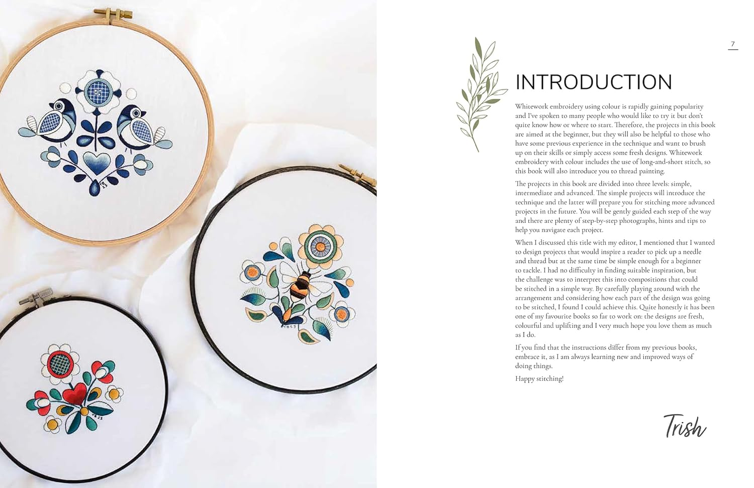 An Introduction to Whitework Embroidery with Colour: 10 Stunning Projects with Reusable Iron-On Transfers